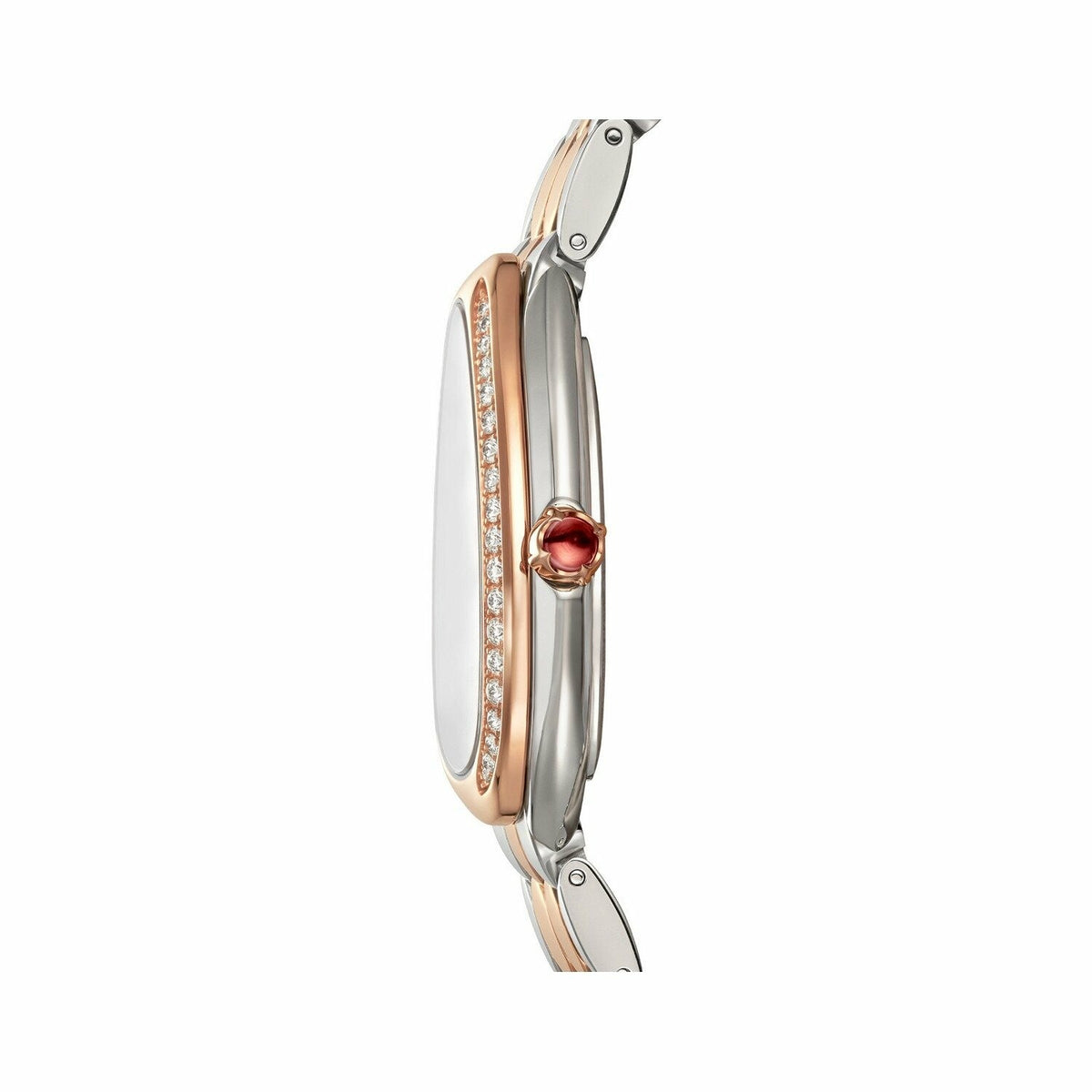 Coup de cœur            Montre Bulgari Serpenti Seduttori
