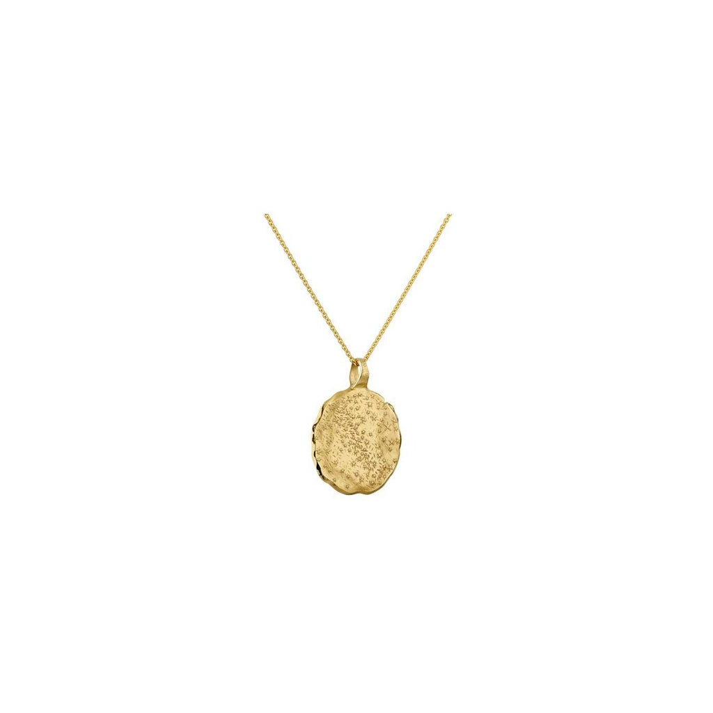 Médaille Arthus Bertrand voie lactée en vermeil, 36mm
