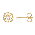 Boucles arbre de vie en or jaune 9ct 484-147
