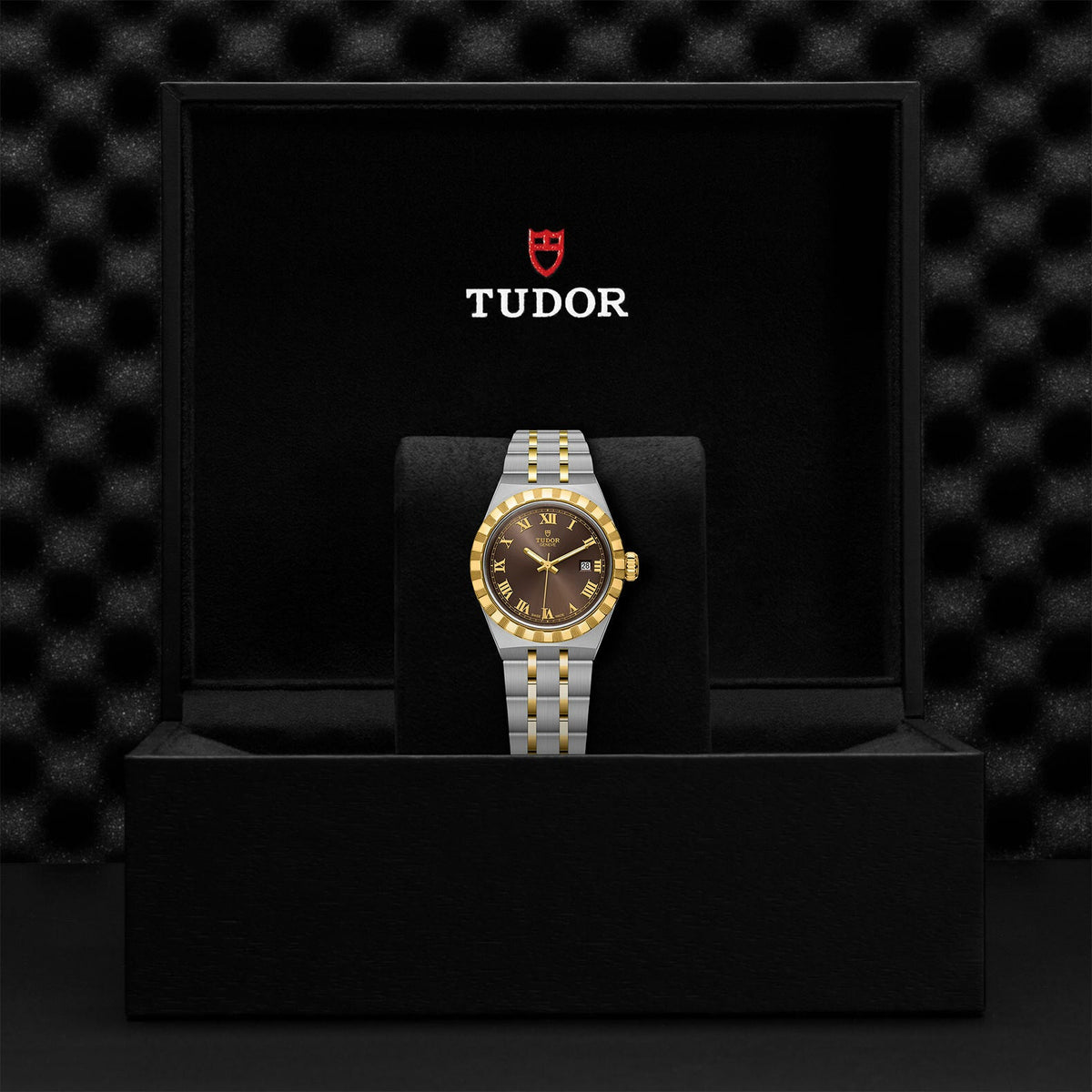 Montre TUDOR Royal boîtier en acier, 28 mm, lunette en or jaune