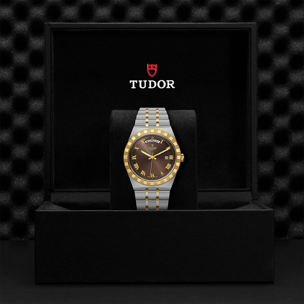Montre TUDOR Royal boîtier en acier, 41 mm, lunette en or jaune
