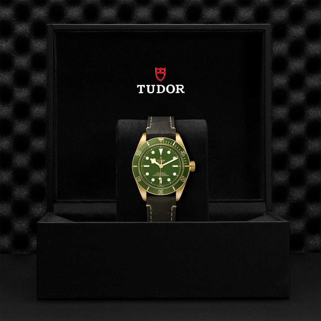 Montre TUDOR Black Bay 58 boîtier en or jaune 39 mm, bracelet alligator brun