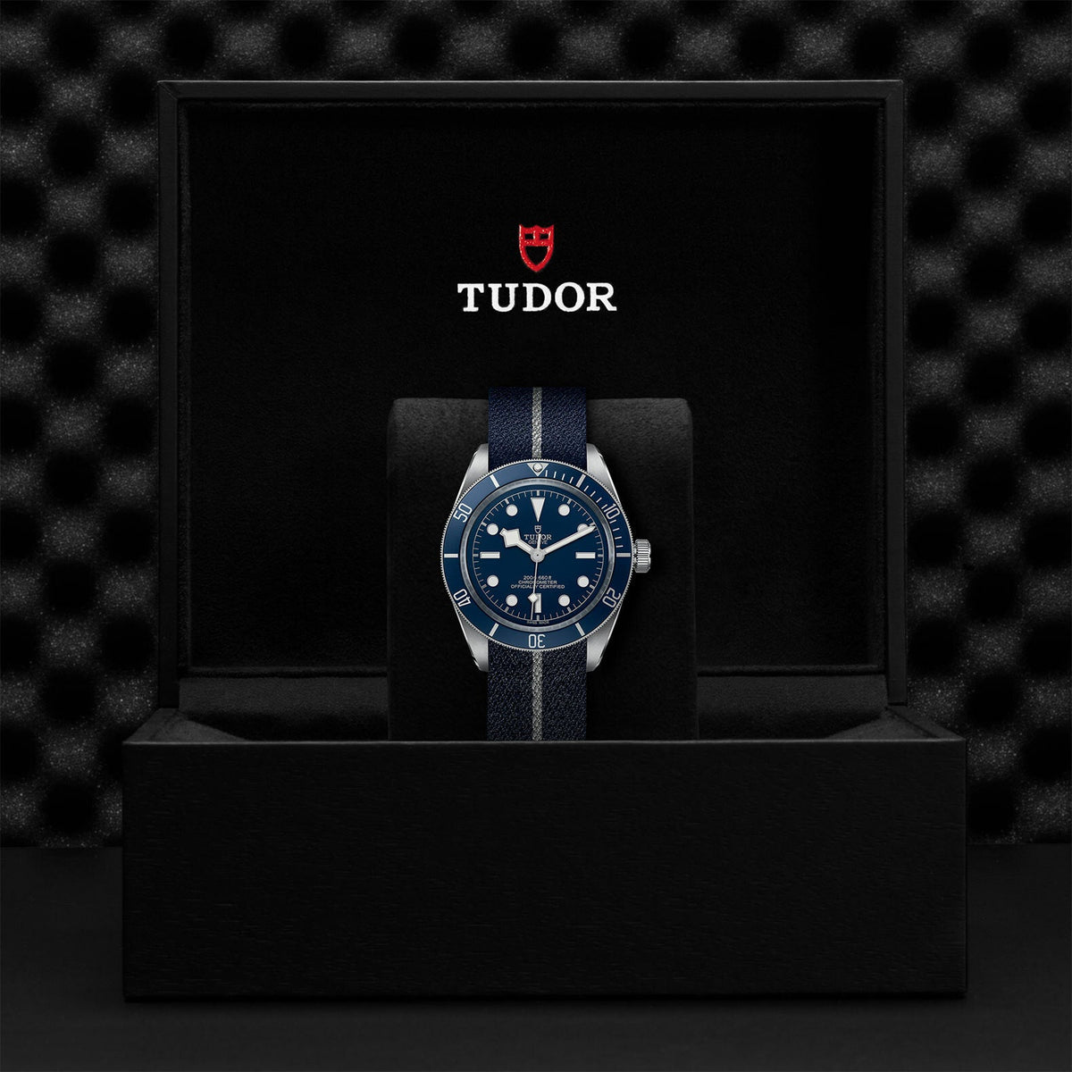 Montre TUDOR Black Bay 58 boîtier en acier 39 mm, bracelet en tissu bleu