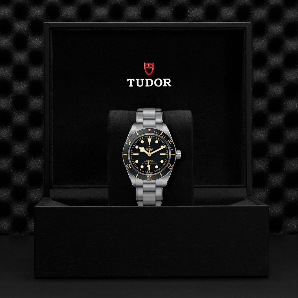 Montre TUDOR Black Bay 58, boîtier en acier 39 mm, bracelet en acier
