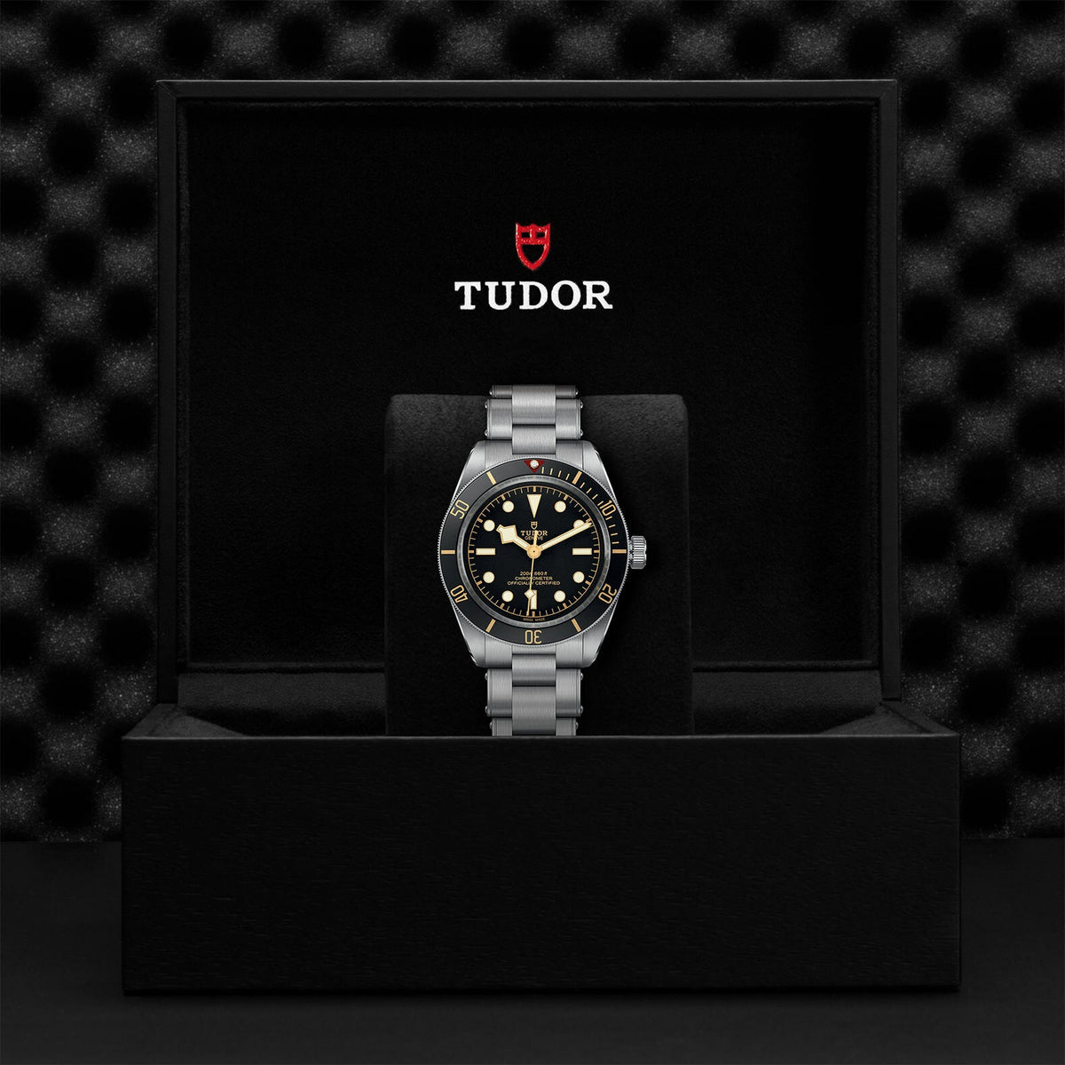 Montre TUDOR Black Bay 58, boîtier en acier 39 mm, bracelet en acier