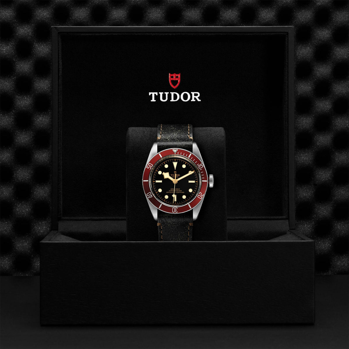 Montre TUDOR Black Bay boîtier en acier 41 mm, bracelet en cuir vieilli