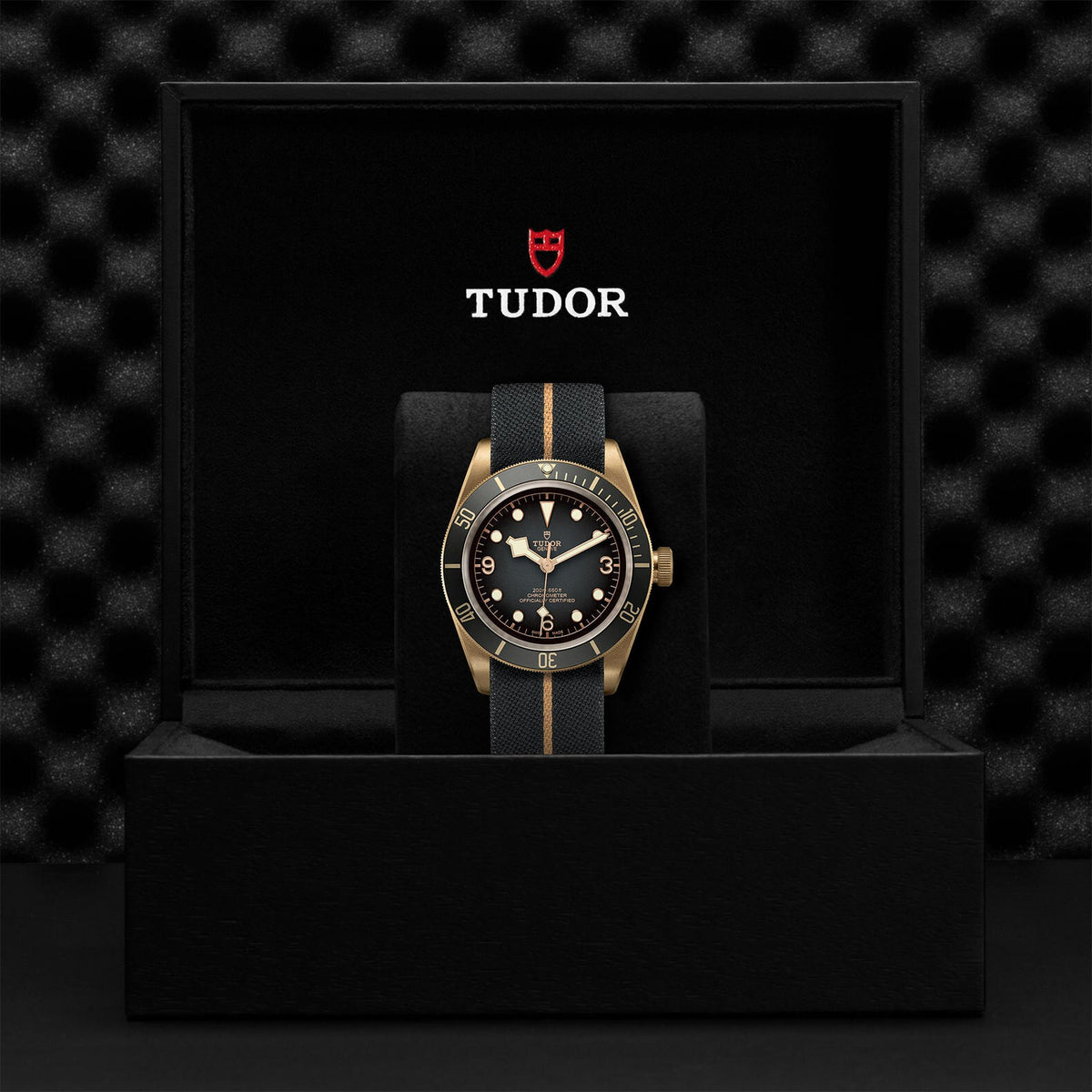 Montre TUDOR Black Bay Bronze boîtier en bronze 43 mm, bracelet en tissu