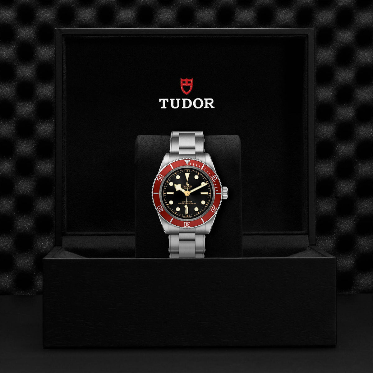 Montre TUDOR Black Bay boîtier en acier, 41 mm, bracelet en acier