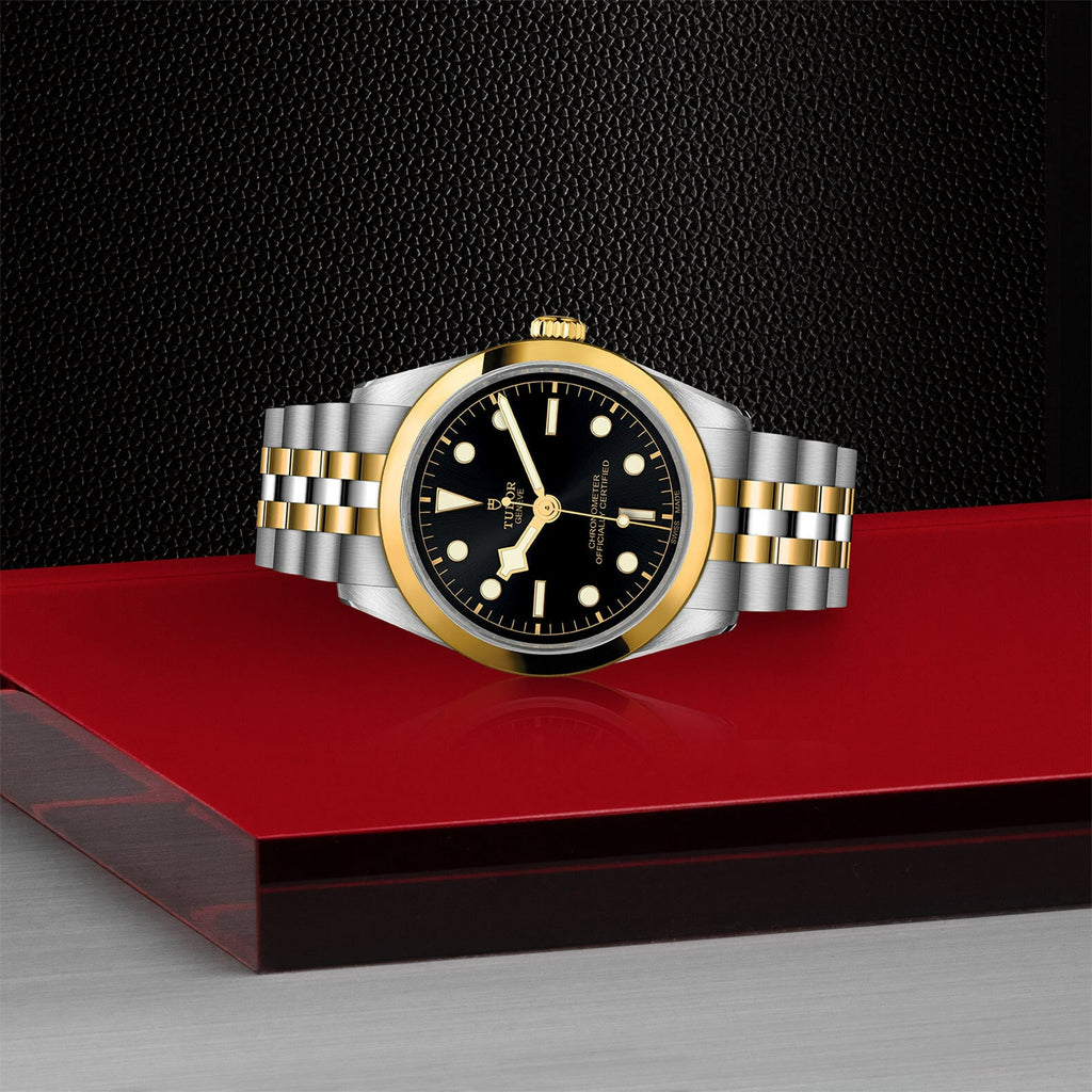 Montre TUDOR Black Bay 36 S&G boîtier en acier 36 mm, bracelet en acier et or jaune