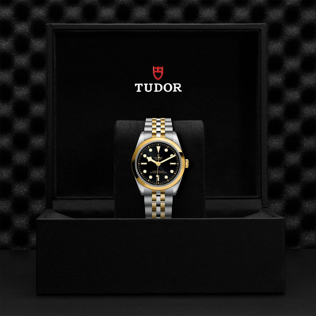 Montre TUDOR Black Bay 36 S&G boîtier en acier 36 mm, bracelet en acier et or jaune