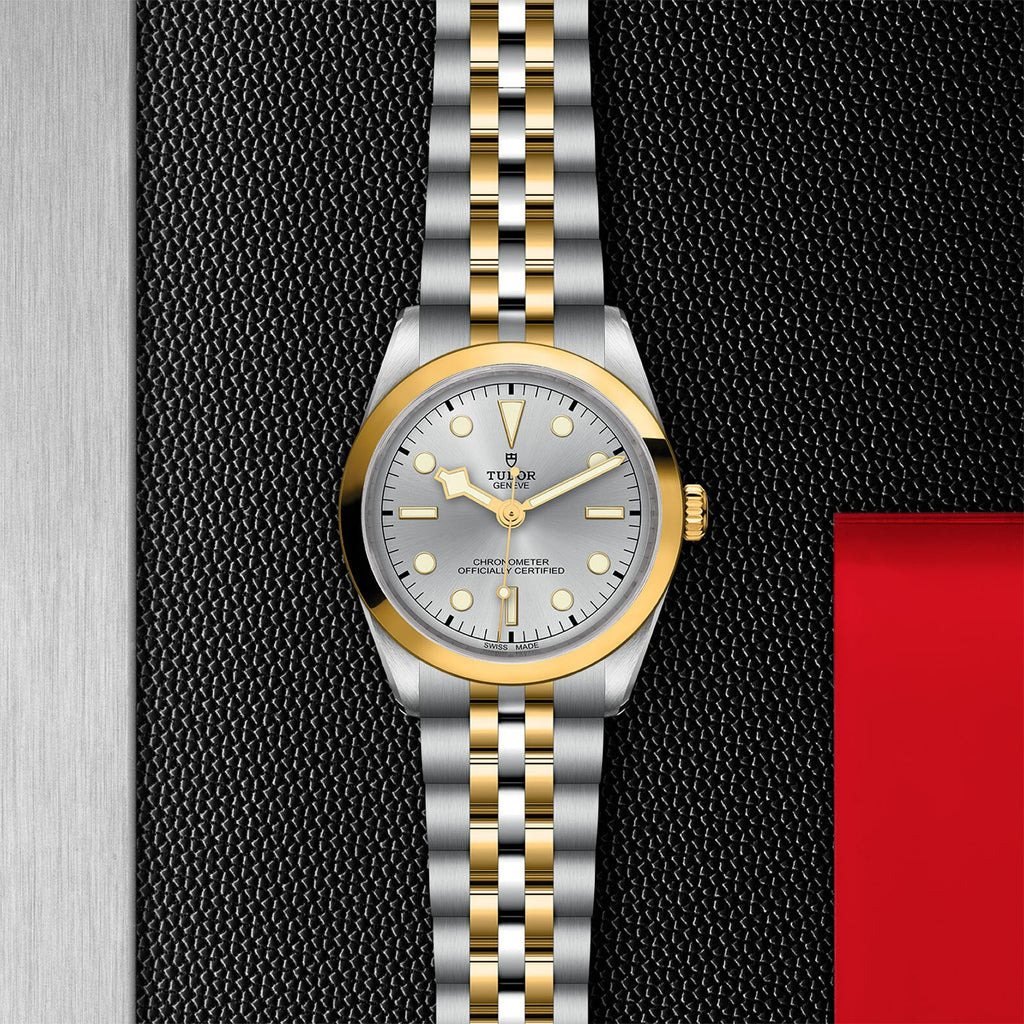 Montre TUDOR Black Bay 36 S&G boîtier en acier 36 mm, bracelet en acier et or jaune