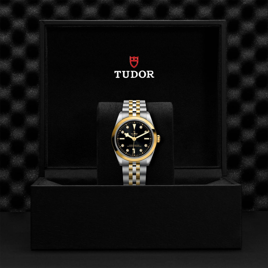 Montre TUDOR Black Bay 36 S&G boîtier en acier 36 mm, bracelet en acier et or jaune
