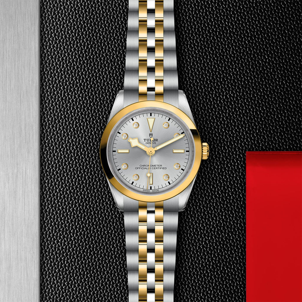 Montre TUDOR Black Bay 36 S&G boîtier en acier 36 mm, bracelet en acier et or jaune