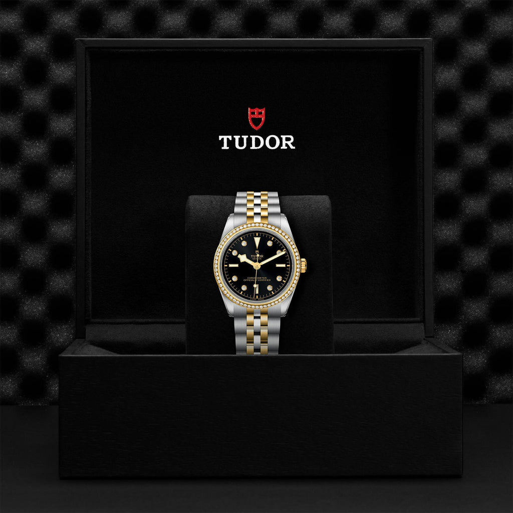 Montre TUDOR Black Bay 36 S&G boîtier en acier 36 mm, bracelet en acier et or jaune