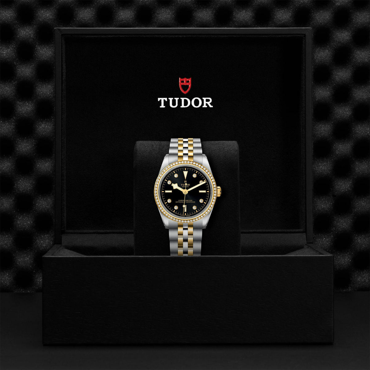 Montre TUDOR Black Bay 36 S&G boîtier en acier 36 mm, bracelet en acier et or jaune