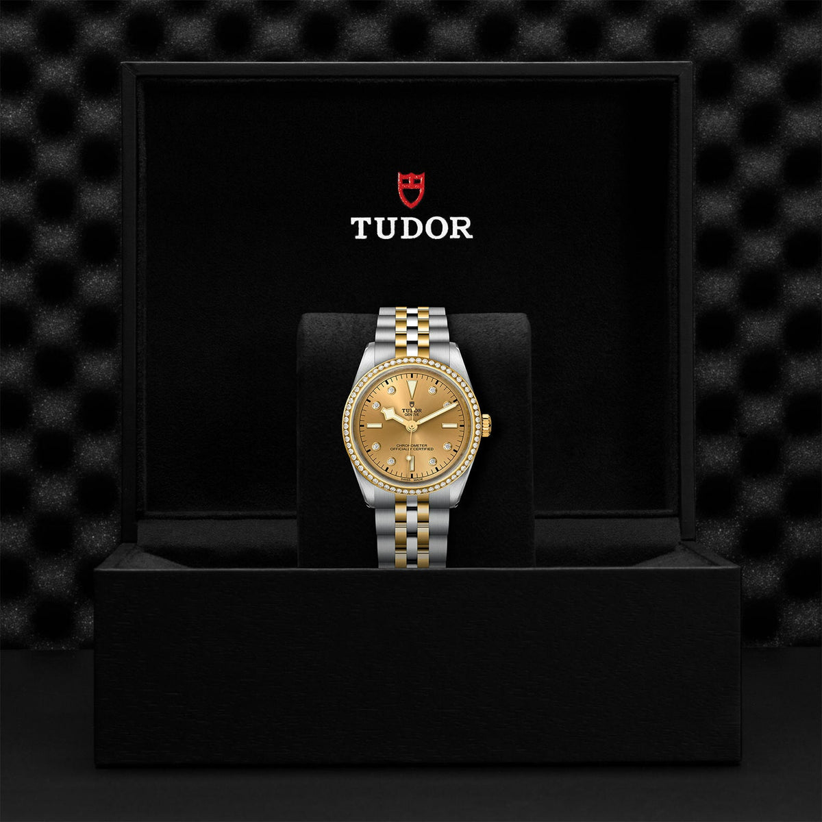 Montre TUDOR Black Bay 36 S&G boîtier en acier 36 mm, bracelet en acier et or jaune