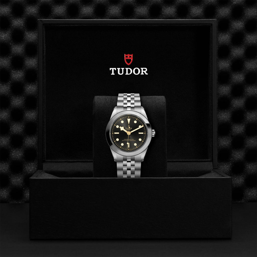 Montre TUDOR Black Bay 39 boîtier en acier, 39 mm, bracelet en acier