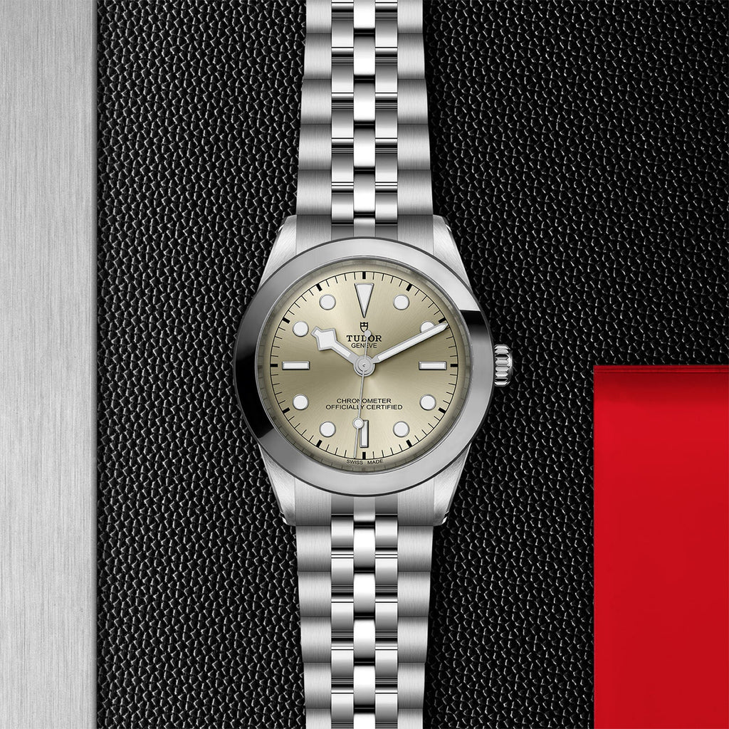 Montre TUDOR Black Bay 39 boîtier en acier, 39 mm, bracelet en acier
