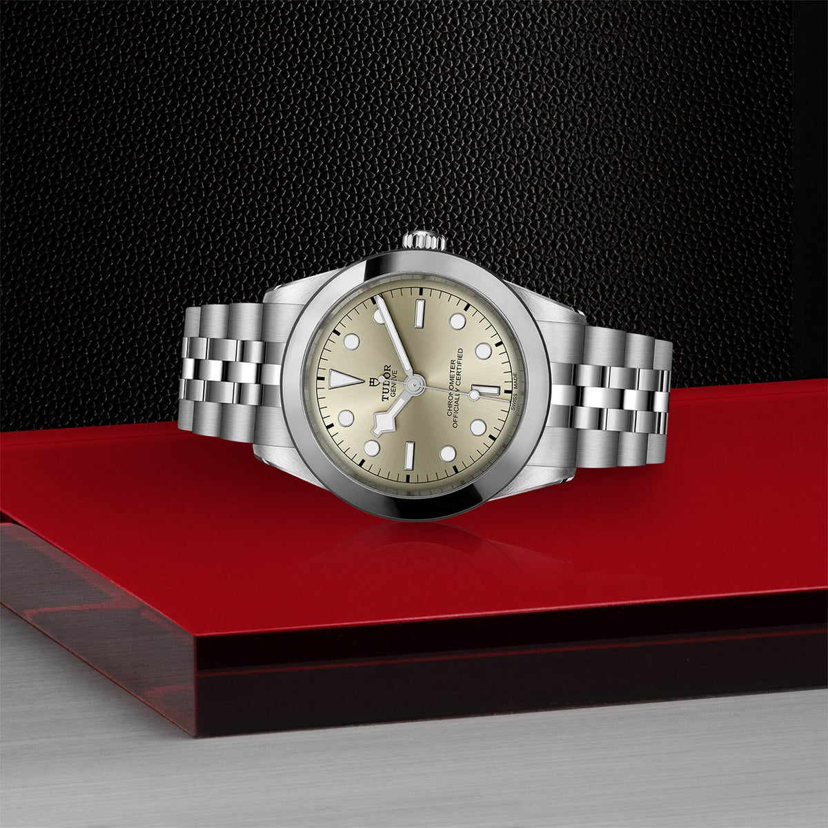 Montre TUDOR Black Bay 39 boîtier en acier, 39 mm, bracelet en acier