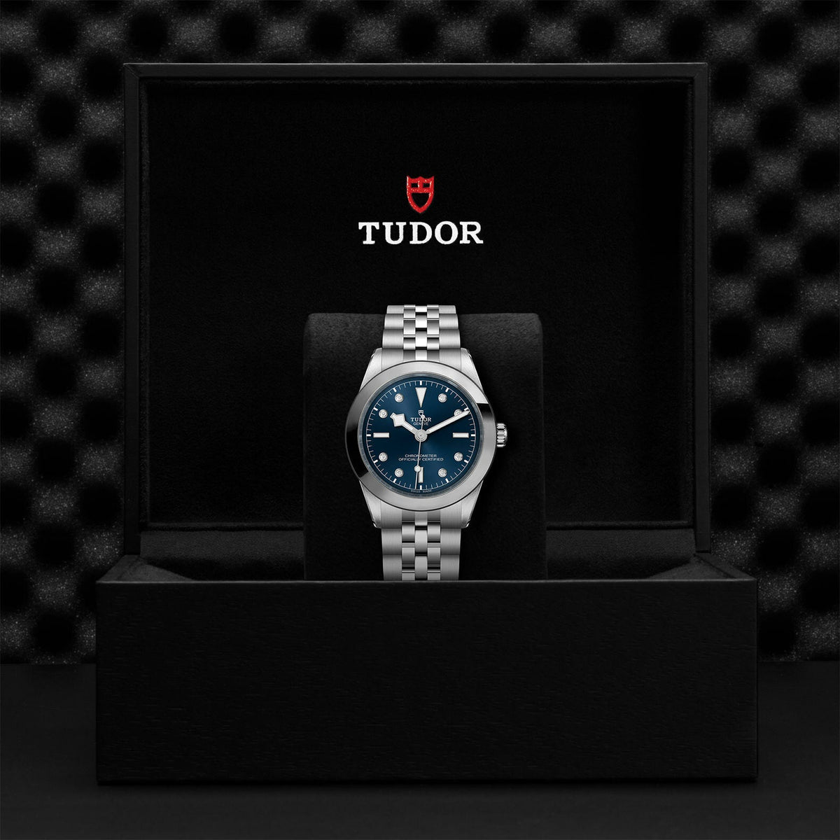 Montre TUDOR Black Bay 39 boîtier en acier, 39 mm, bracelet en acier