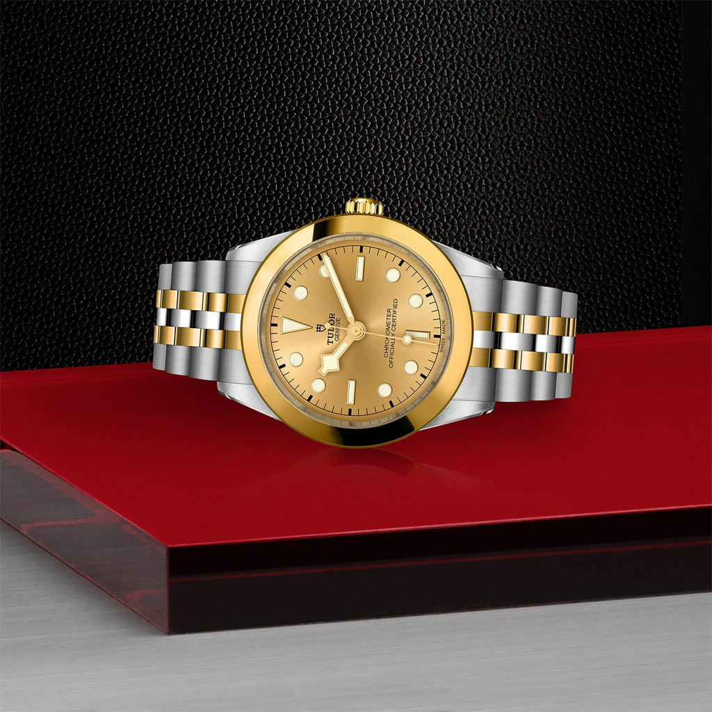 Montre TUDOR Black Bay 39 S&G boîtier en acier 39 mm, bracelet en acier et or jaune