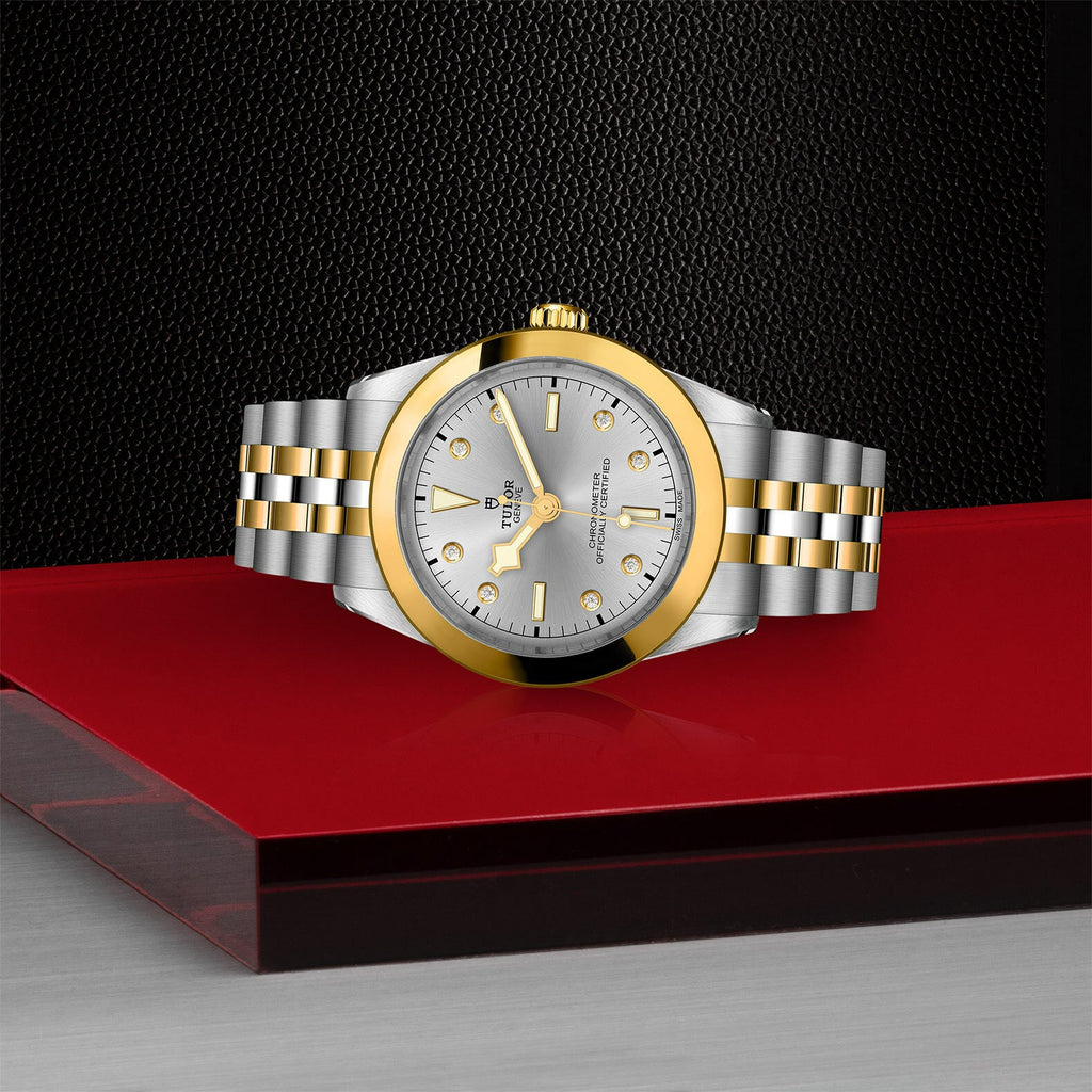 Montre TUDOR Black Bay 39 S&G boîtier en acier 39 mm, bracelet en acier et or jaune