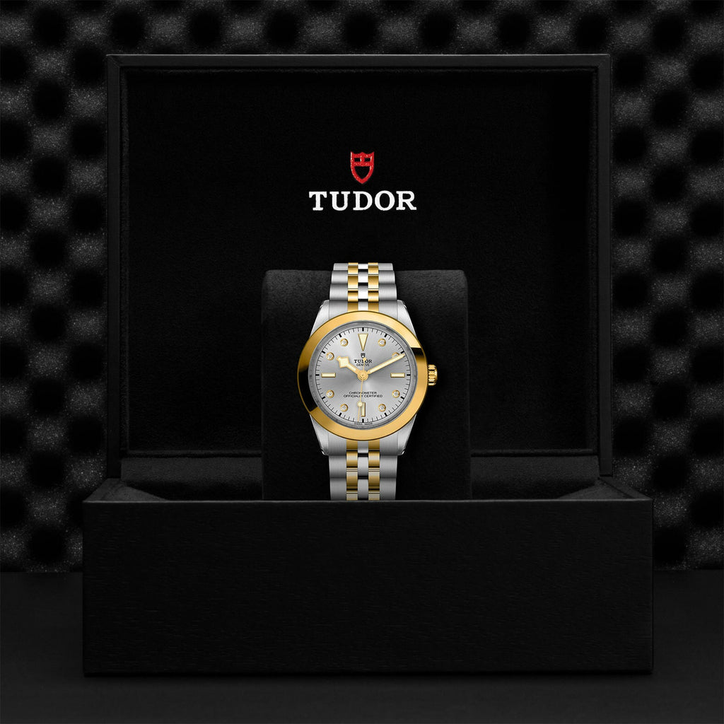 Montre TUDOR Black Bay 39 S&G boîtier en acier 39 mm, bracelet en acier et or jaune