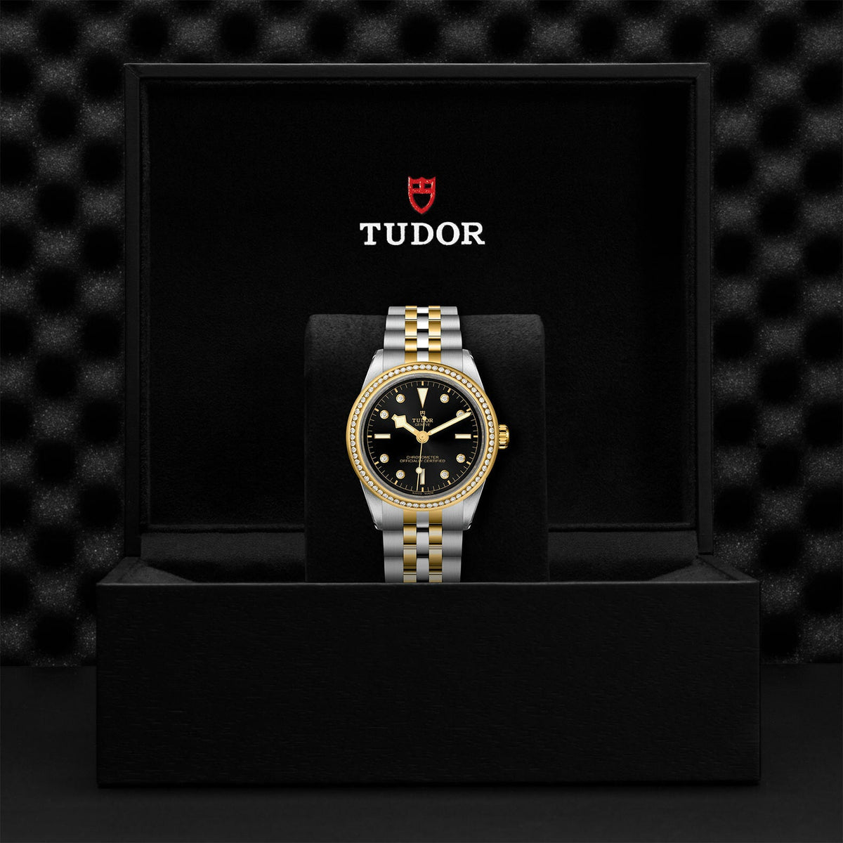 Montre TUDOR Black Bay 39 S&G boîtier en acier 39 mm, bracelet en acier et or jaune