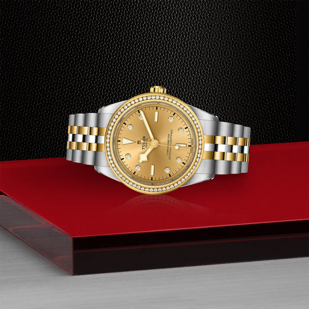 Montre TUDOR Black Bay 39 S&G boîtier en acier 39 mm, bracelet en acier et or jaune