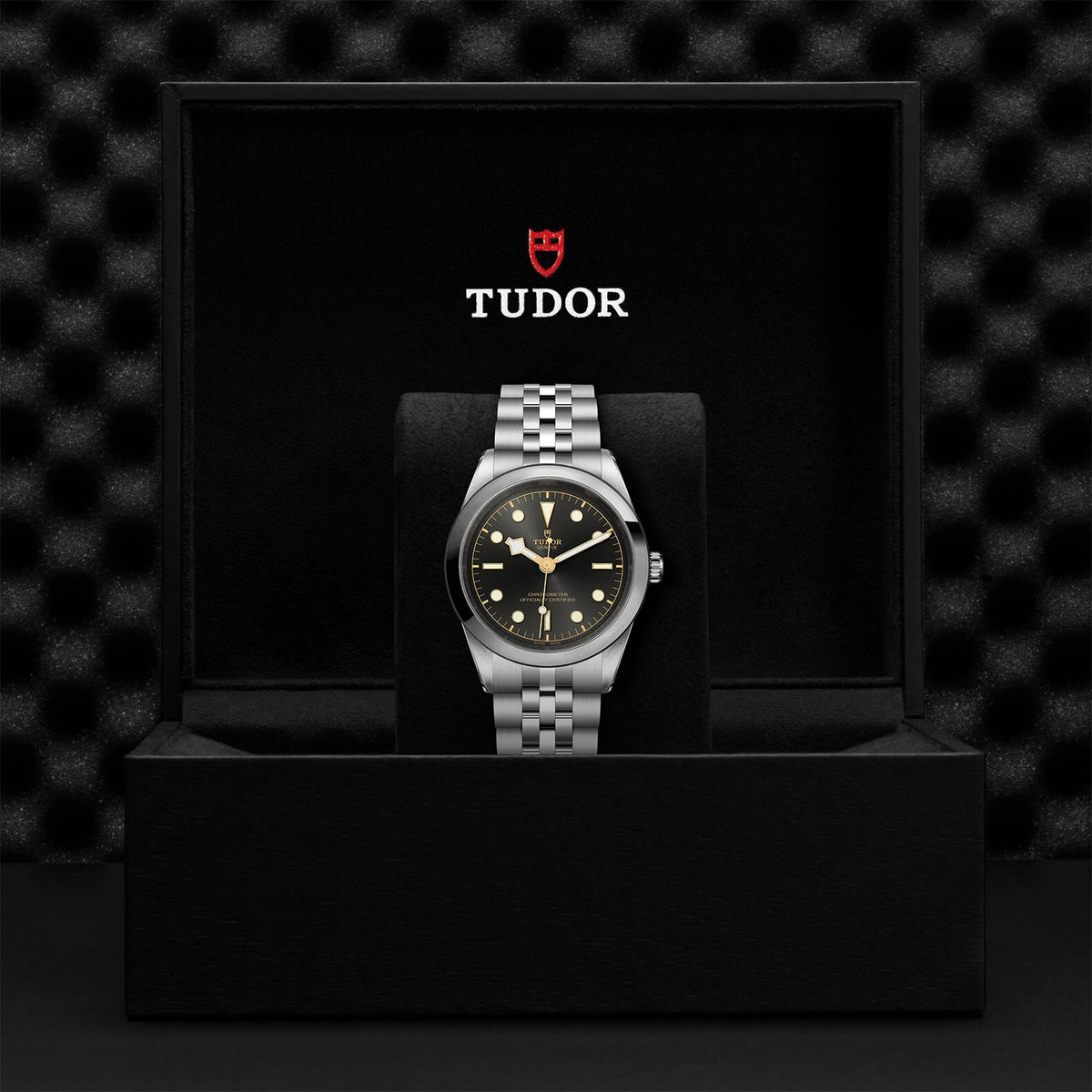 Montre TUDOR Black Bay 41 boîtier en acier, 41 mm, bracelet en acier