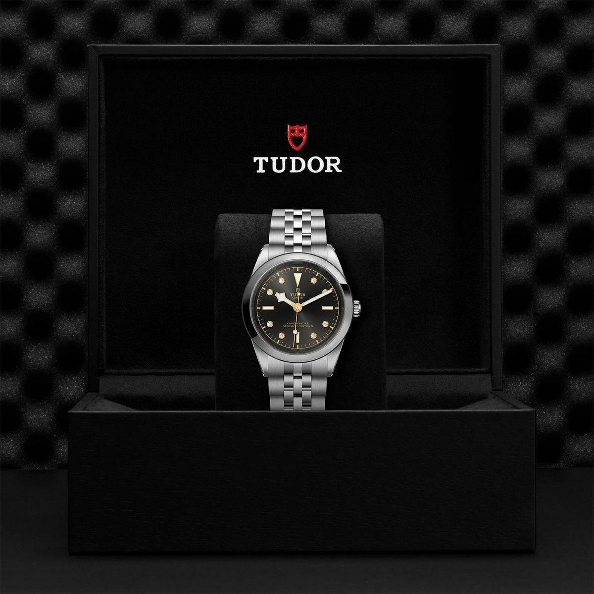 Montre TUDOR Black Bay 41 boîtier en acier, 41 mm, bracelet en acier