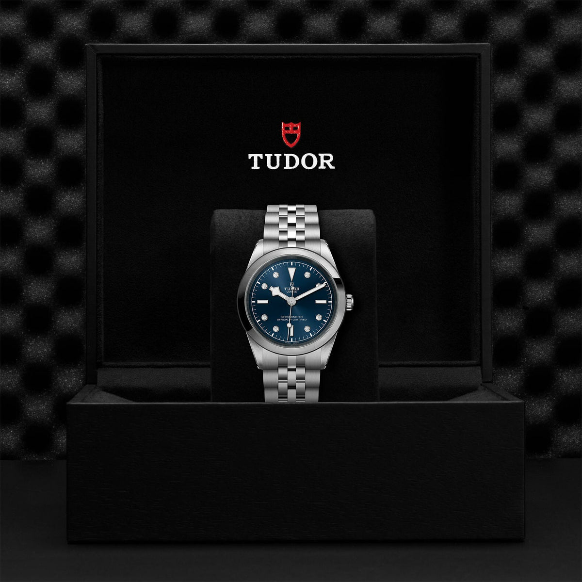 Montre TUDOR Black Bay 41 boîtier en acier, 41 mm, bracelet en acier