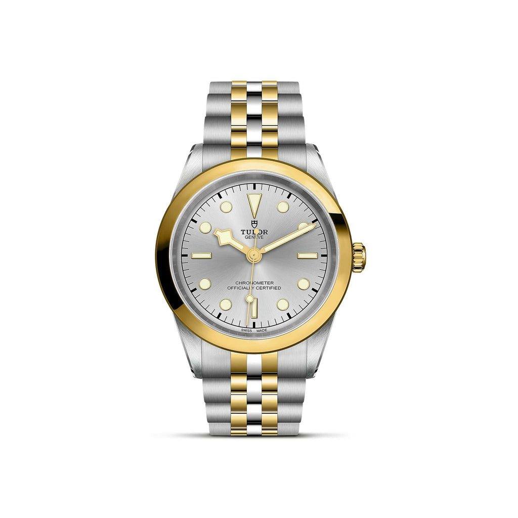 Montre TUDOR Black Bay 41 S&G boîtier en acier 41 mm, bracelet en acier et or jaune