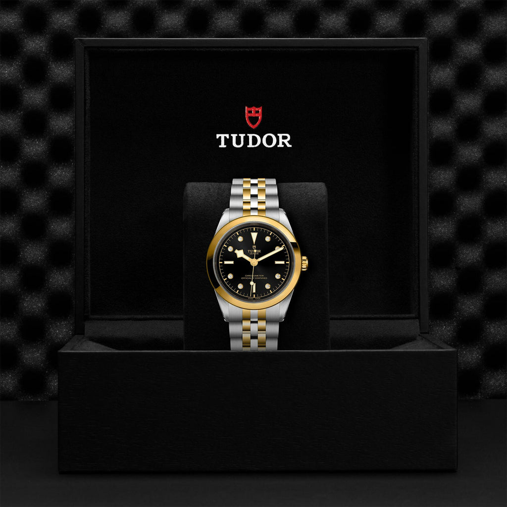 Montre TUDOR Black Bay 41 S&G boîtier en acier 41 mm, bracelet en acier et or jaune