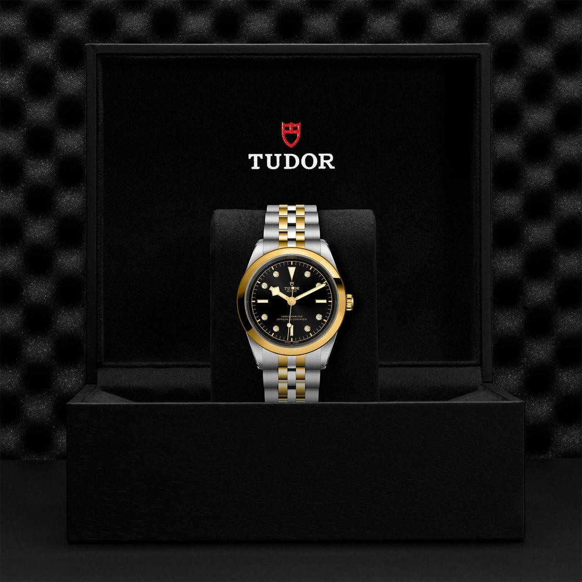 Montre TUDOR Black Bay 41 S&G boîtier en acier 41 mm, bracelet en acier et or jaune