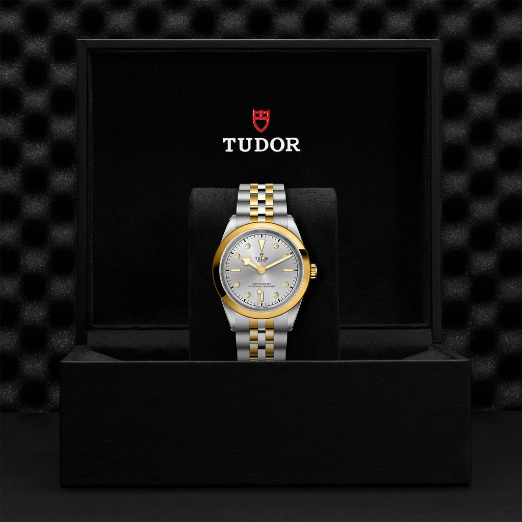 Montre TUDOR Black Bay 41 S&G boîtier en acier 41 mm, bracelet en acier et or jaune