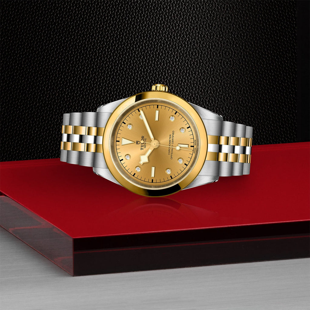 Montre TUDOR Black Bay 41 S&G boîtier en acier 41 mm, bracelet en acier et or jaune