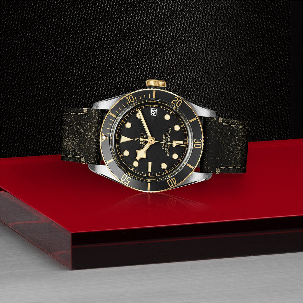 Montre TUDOR Black Bay S&G boîtier en acier 41 mm, bracelet en cuir vieilli