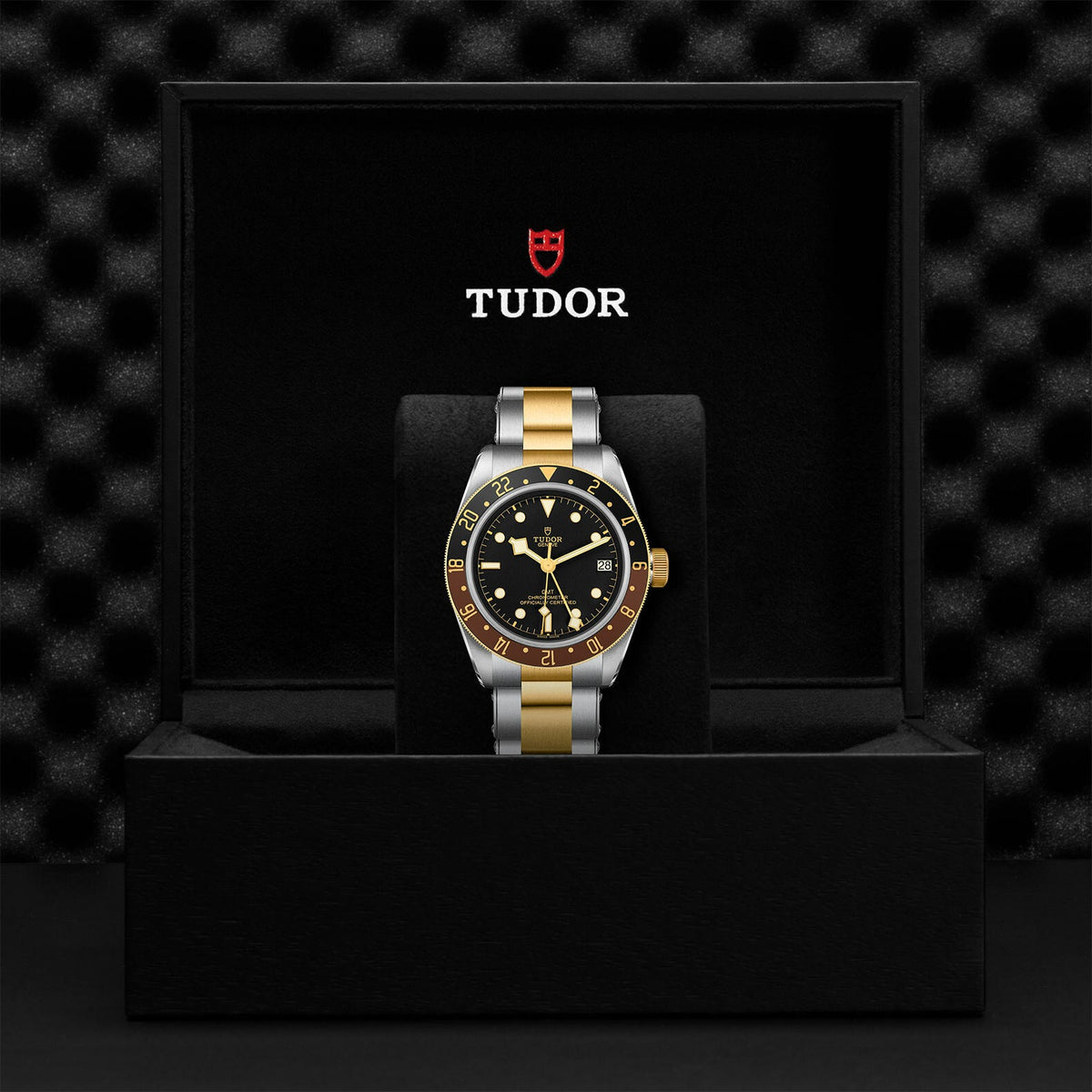 Montre TUDOR Black Bay GMT S&G boîtier en acier 41 mm, bracelet en acier et or jaune