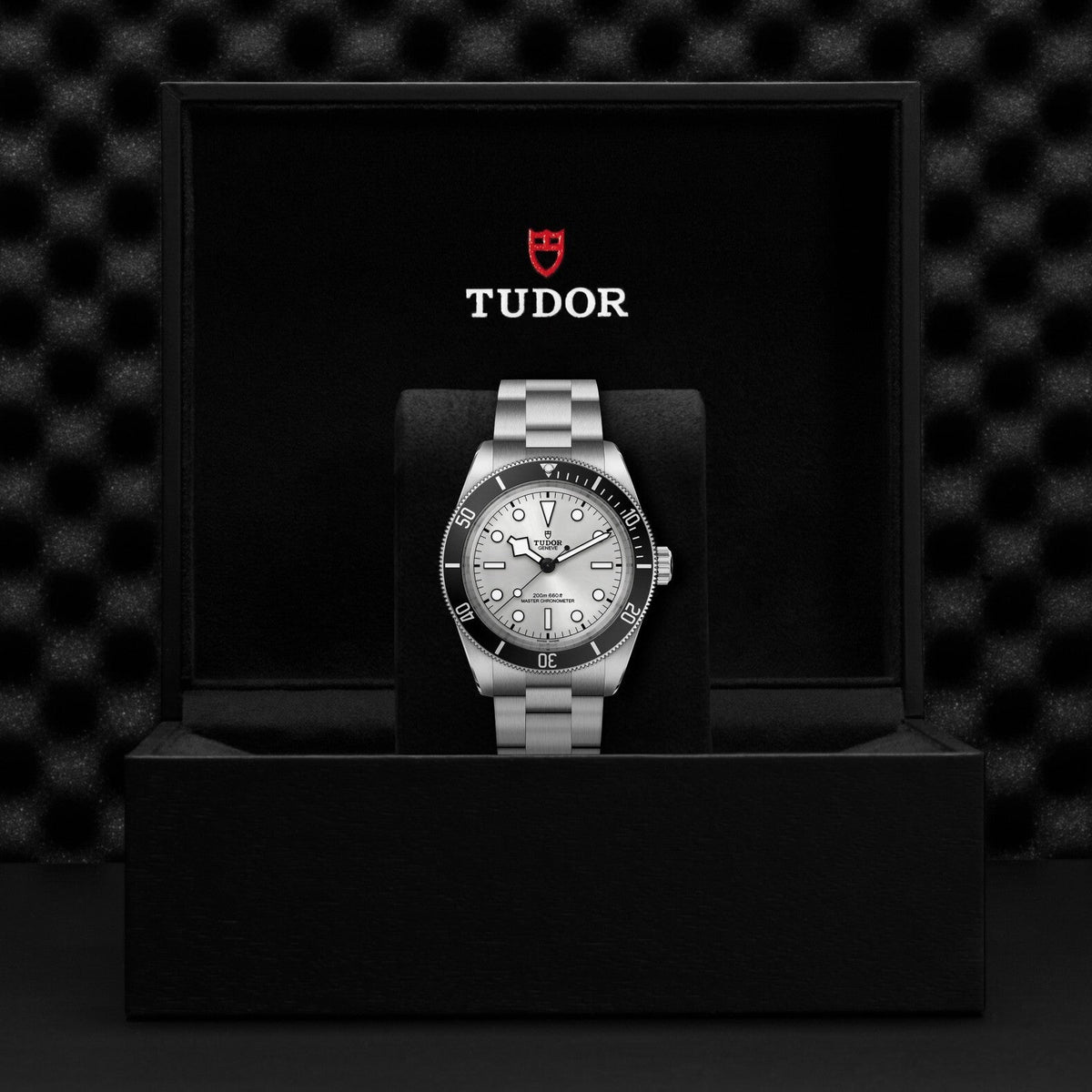 Montre TUDOR Black Bay 68, boîtier en acier, 43 mm, cadran argenté