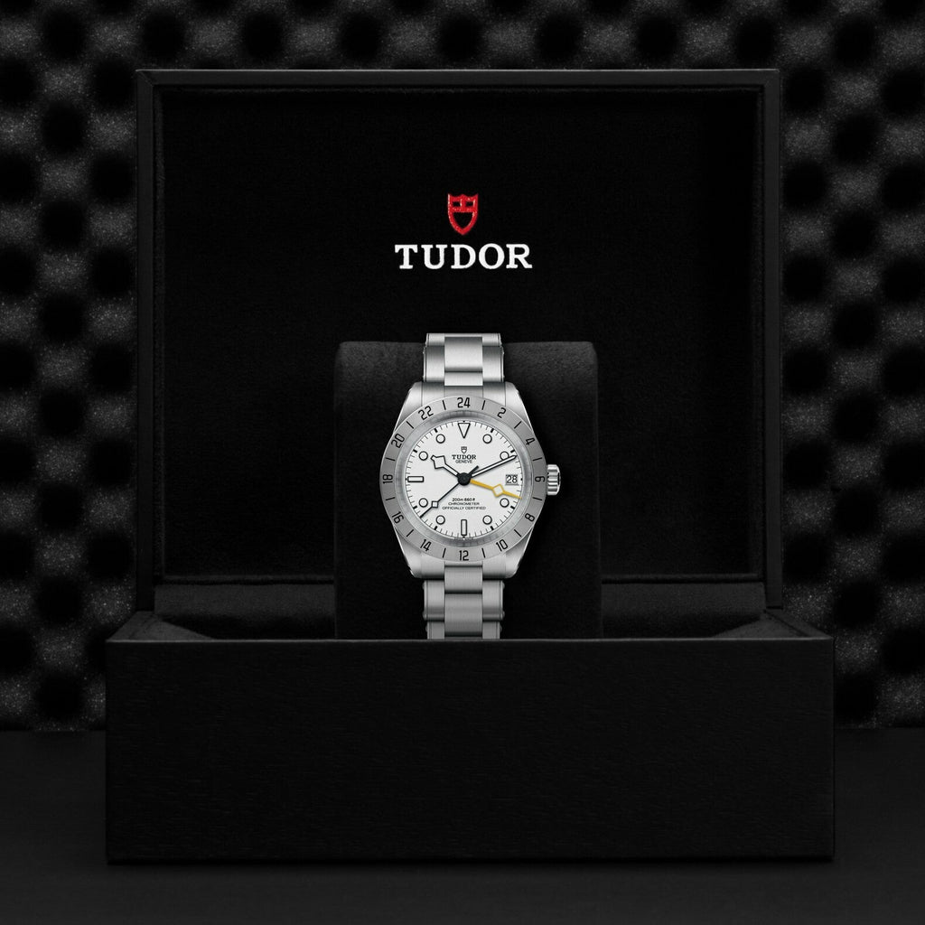 Montre TUDOR Black Bay Pro, boîtier en acier, 39 mm, cadran opalin