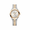 Montre OMEGA Seamaster Aqua Terra 150M Co-Axial Master Chronometer 30mm