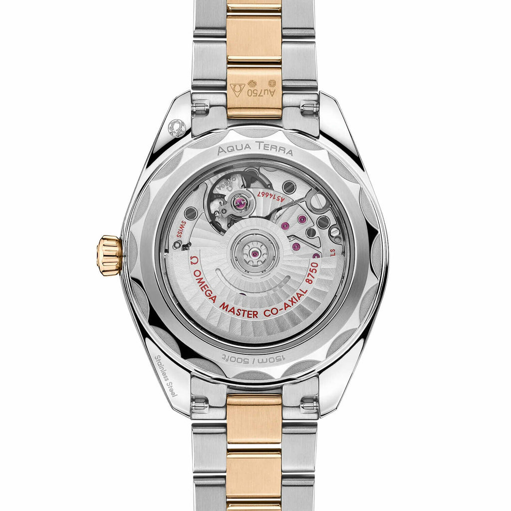 Montre OMEGA Seamaster Aqua Terra 150M Co-Axial Master Chronometer 30mm