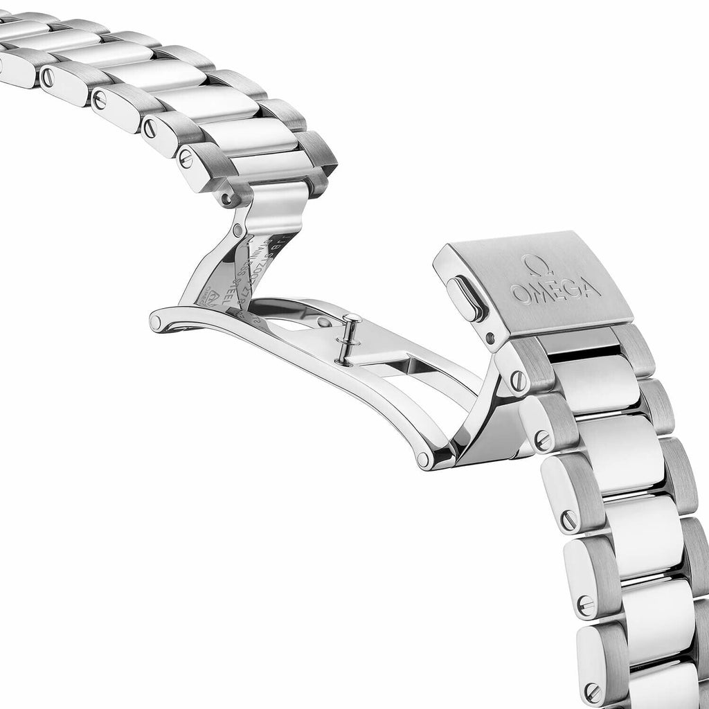 Montre OMEGA Seamaster Aqua Terra 150M Co-Axial Master Chronometer 41mm
